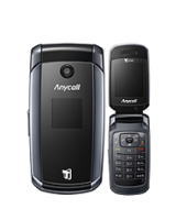 Samsung(サムスン) SCH-W450